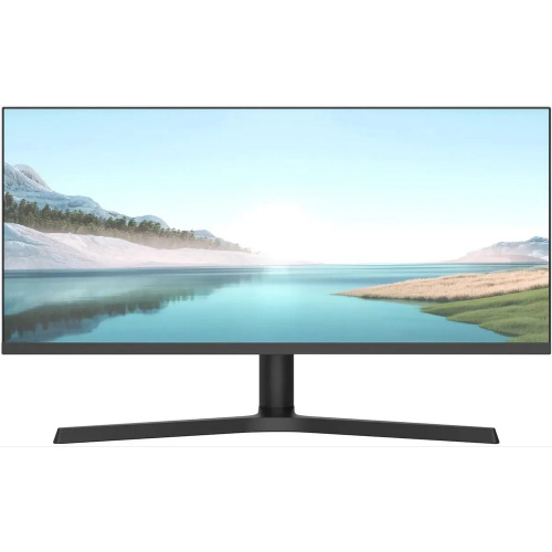 Монитор NPC MZ300L черный