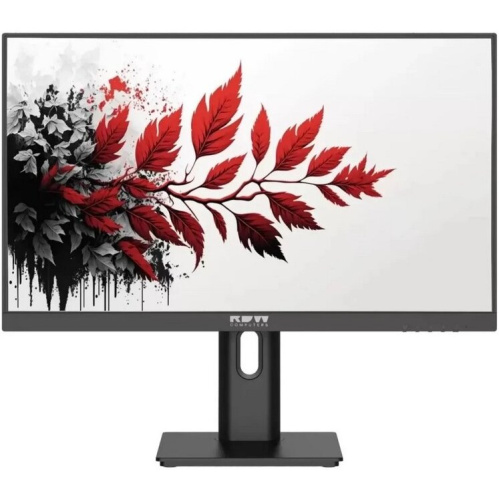 Монитор RDW Computers RDW2701K (2701K/Q03В3100V2A1H) черный