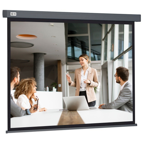 Экран Cactus CS-PSW-127X127-SG Wallscreen настенно-потолочный рулонный серый