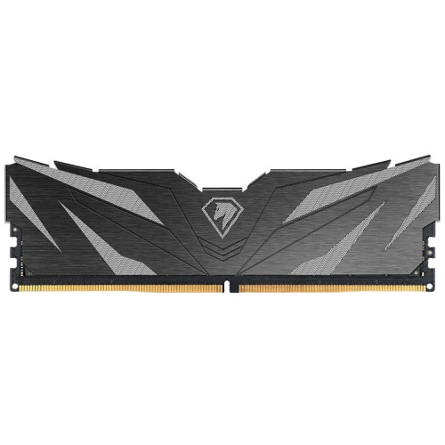 ОЗУ Netac Shadow II NTSWD5P60SP-16K, DDR 5 DIMM 16Gb, 6000Mhz, CL38, Black