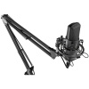 Микрофон Ritmix RDM-180 черный