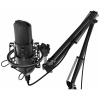 Микрофон RITMIX RDM-169 Black