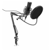 Микрофон Ritmix RDM-180 черный