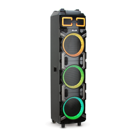 Колонка ELTRONIC 30-17 Crazy Box