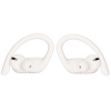 Наушники TWS Beats Powerbeats Pro бежевый