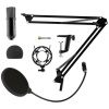 Микрофон Ritmix RDM-180 черный