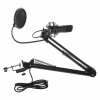 Микрофон Ritmix RDM-180 черный