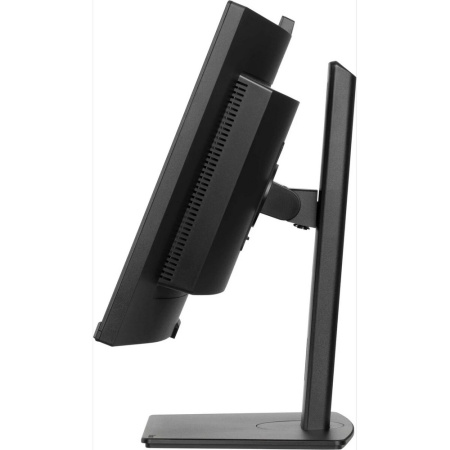 Монитор Iiyama ProLite XCB3497WQSNPH-B1 черный