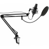 Микрофон Ritmix RDM-180 черный